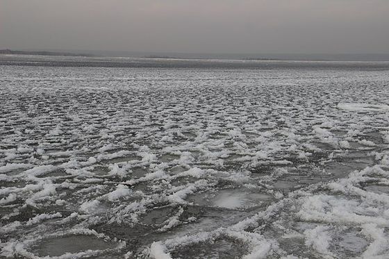 В п. Кугеси продолжается комплексное благоустройство дворовых территорий в рамках подпрограммы мероприятий по благоустройству дворовых территорий и тротуаров региональной программы 